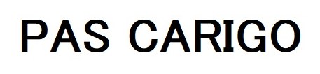 PAS CARIGO 商願2025-067098の商標見本