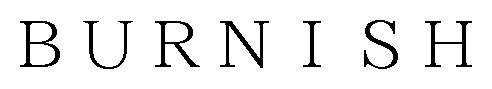BURNISH 商願2025-068678の商標見本