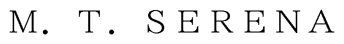 M T SERENA 商願2025-072329の商標見本