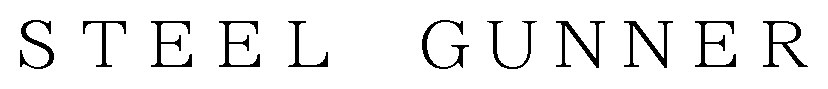 STEEL GUNNER 商願2025-073461の商標見本