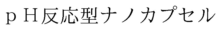 pH反応型ナノカプセル 商願2025-074997の商標見本