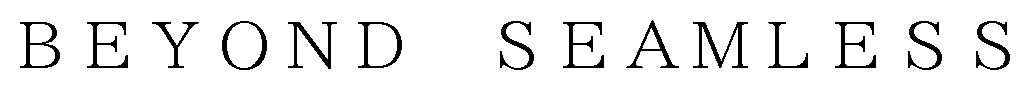 BEYOND SEAMLESS 商願2025-076867の商標見本