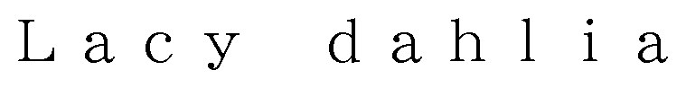 Lacy dahlia 商願2025-077455の商標見本