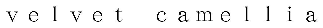 camellia velve 商願2025-077456の商標見本