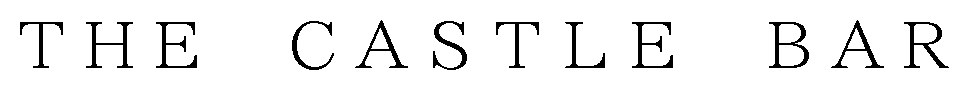 THE CASTLE BAR 商願2025-080788の商標見本