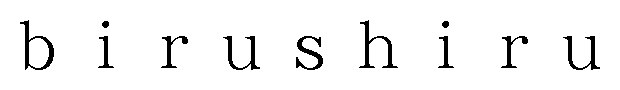 birushiru 商願2025-081131の商標見本