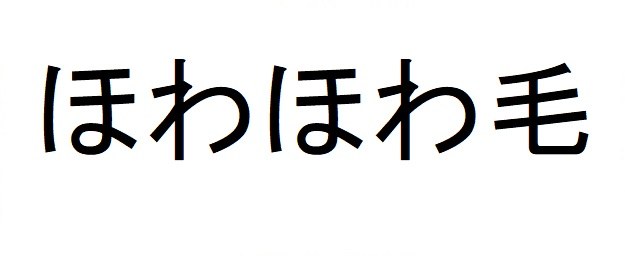 ほわほわ毛 商願2025-082146の商標見本