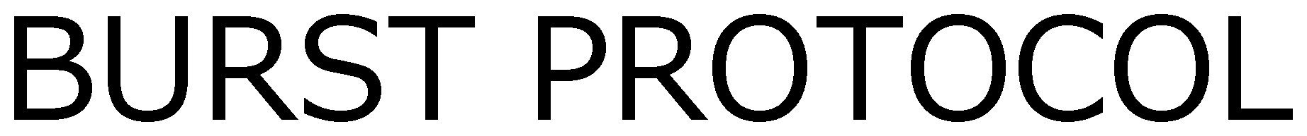 BURST PROTOCOL 商願2025-083932の商標見本