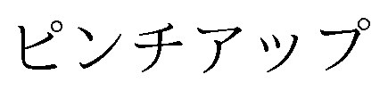 ピンチアップ 商願2025-084716の商標見本