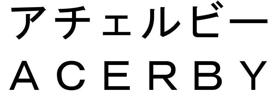 アチェルビー ACERB Y 商願2025-085399の商標見本