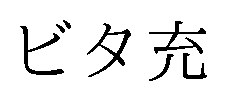 ビタ充 商願2025-090820の商標見本