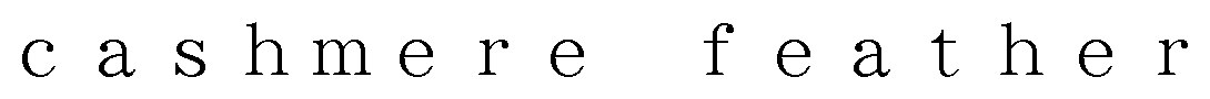 cashmere feather 商願2025-094300の商標見本