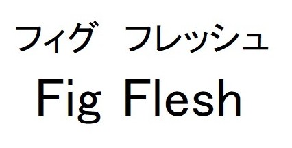フィグフレッシュ Fig Flesh 商願2025-094896の商標見本