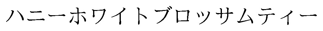ハニーホワイトブロッサムティー 商願2025-097295の商標見本