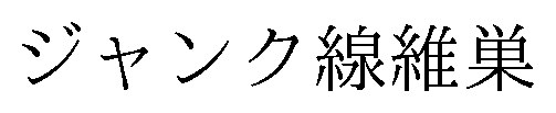 ジャンク線維巣 商願2025-103817の商標見本