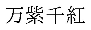 万紫千紅 商願2025-104898の商標見本