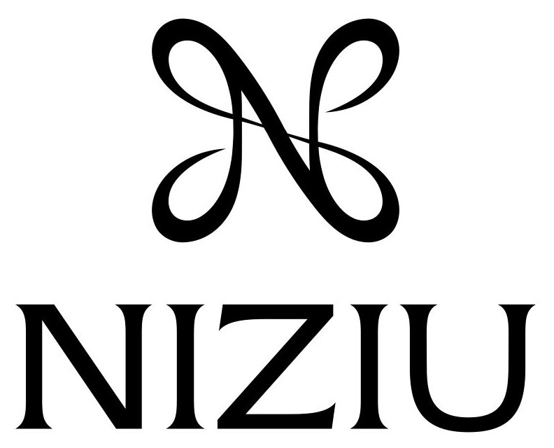 NIZIN 商願2025-105340の商標見本