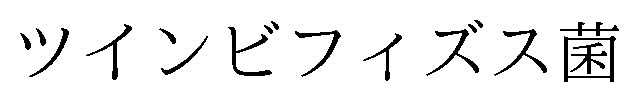 ツインビフィズス菌 商願2025-112305の商標見本