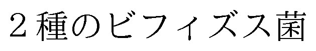 2種のビフィズス菌 商願2025-112306の商標見本