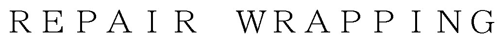 REPAIR WRAPPING 商願2025-114055の商標見本