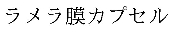 ラメラ膜カプセル 商願2025-116221の商標見本