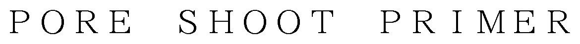 PORE SHOOT PRIMER 商願2025-117740の商標見本