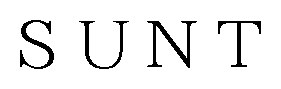 SUNT 商願2025-121692の商標見本