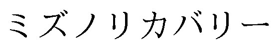 ミズノリカバリー 商願2025-123404の商標見本