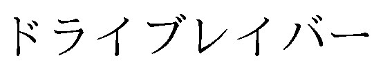 ドライブレイバー 商願2025-123979の商標見本