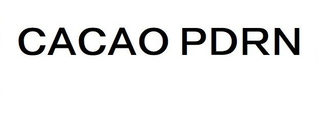 CACAO PDRN 商願2025-126096の商標見本