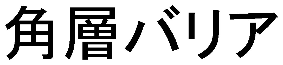 角層バリア 商願2025-129520の商標見本