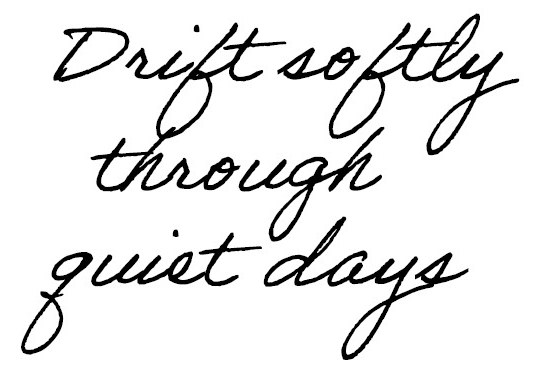 Drift softly through quiet days 商願2025-131441の商標見本