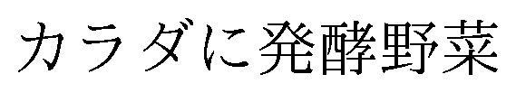 カラダに発酵野菜 商願2025-131996の商標見本