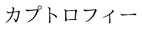 カプトロフィー 商願2025-131997の商標見本