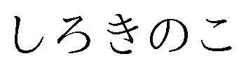 しろきのこ 商願2025-137505の商標見本