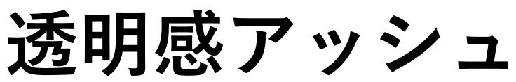 透明感アッシュ 商願2025-137738の商標見本