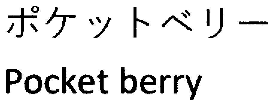 ポケットベリー Pocket berry 商願2025-144653の商標見本