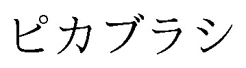ピカブラシ 商願2025-146761の商標見本