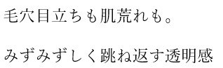 毛穴日立ちも肌荒れも みずみずしく跳ね返す透明感 商願2025-148321の商標見本