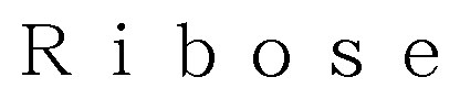 Ribose 商願2025-148759の商標見本