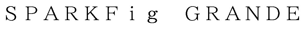 SPARKFig GRANDE 商願2025-148934の商標見本