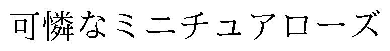 可憐なミニチュアローズ 商願2025-149480の商標見本
