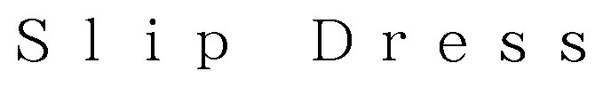 Slip Dress 商願2025-149616の商標見本