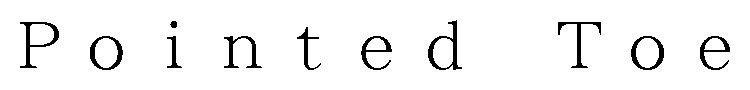 Pointed Toe 商願2025-149617の商標見本