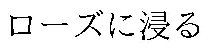 ローズに浸る 商願2026-004515の商標見本