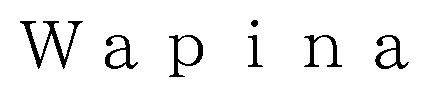 Wapina 商願2026-005136の商標見本
