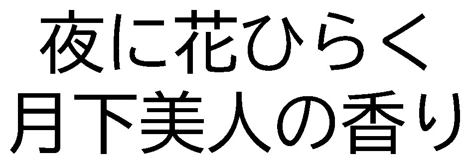 夜に花ひらく 月下美人の香り 商願2026-011619の商標見本