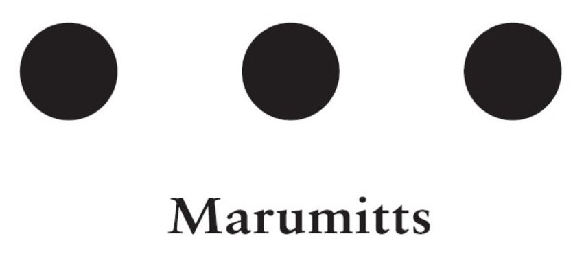 Marumitts 商願2026-011886の商標見本