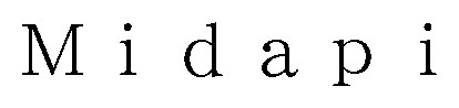 Midapi 商願2026-015410の商標見本