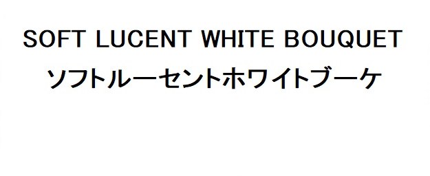 SOFT LUCENT WHITE BOUQUET ソフトルーセントホワイトブーケ 商願2026-019993の商標見本